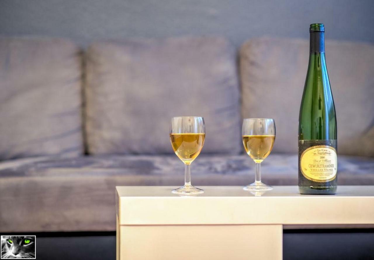 Appartement Spacieux Schiltigheim Bagian luar foto