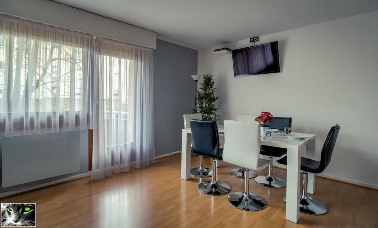 Appartement Spacieux Schiltigheim Bagian luar foto