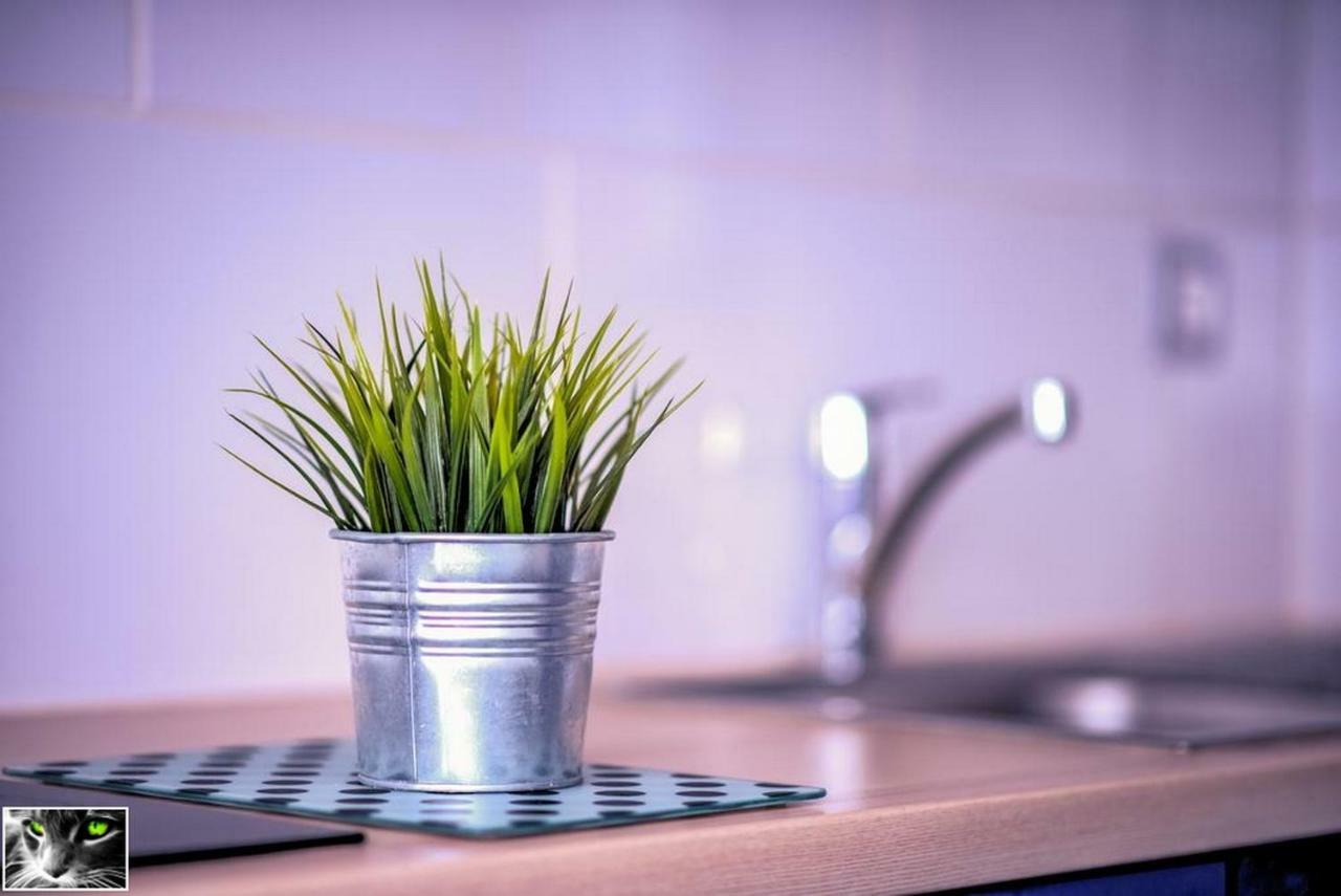 Appartement Spacieux Schiltigheim Bagian luar foto
