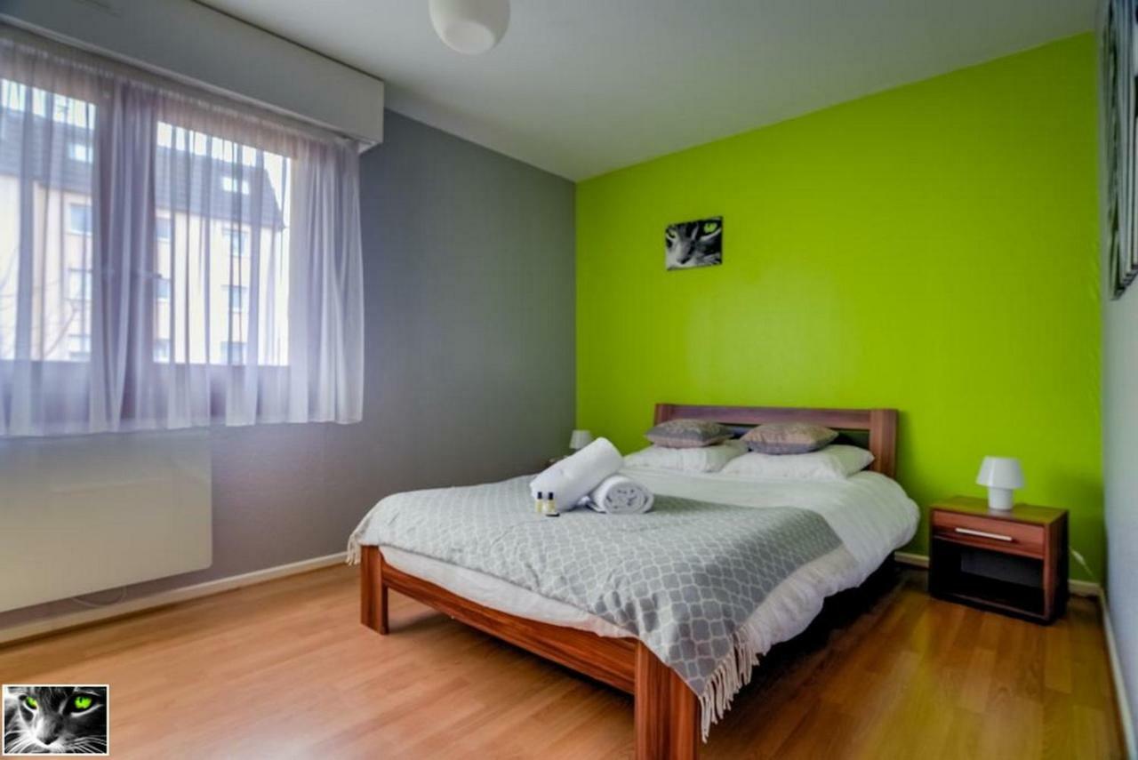 Appartement Spacieux Schiltigheim Bagian luar foto
