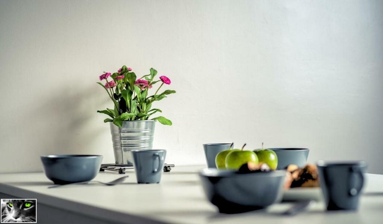 Appartement Spacieux Schiltigheim Bagian luar foto