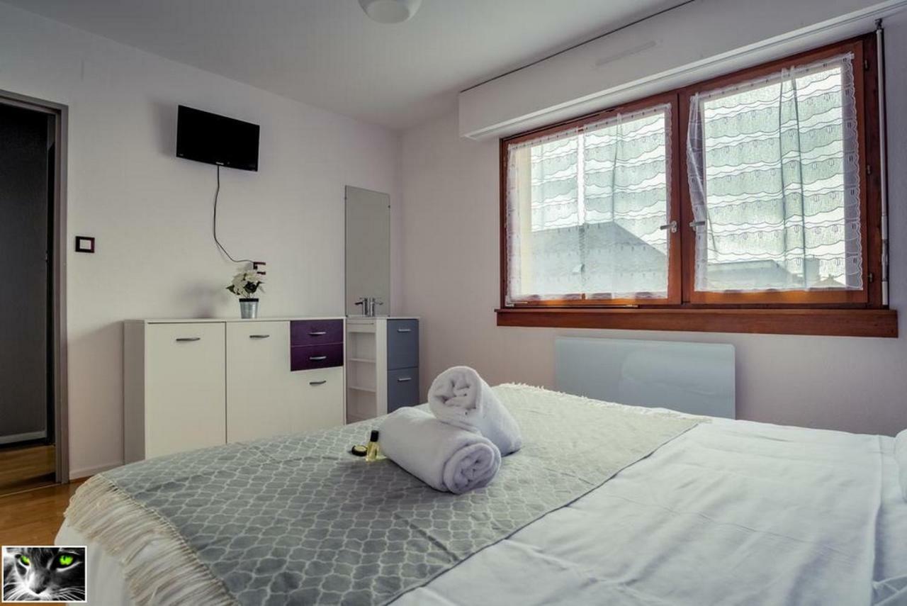 Appartement Spacieux Schiltigheim Bagian luar foto