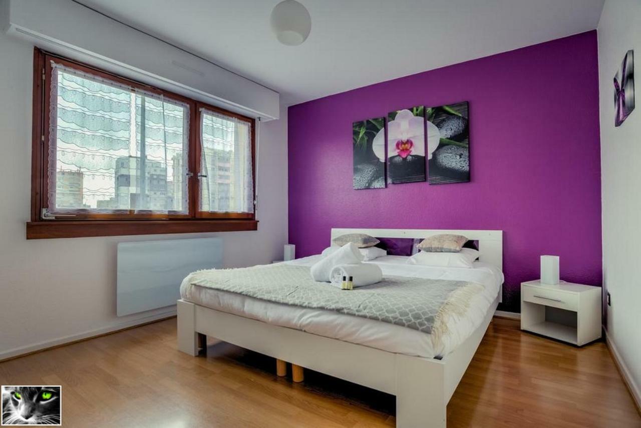 Appartement Spacieux Schiltigheim Bagian luar foto